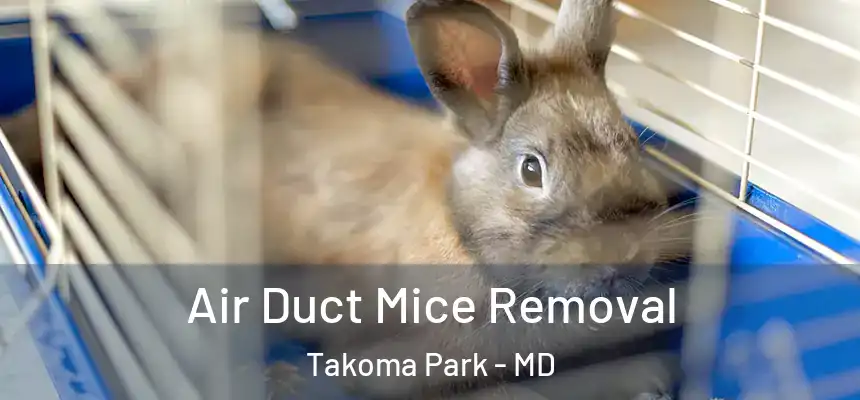  Air Duct Mice Removal Takoma Park - MD