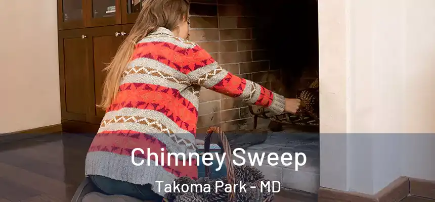  Chimney Sweep Takoma Park - MD