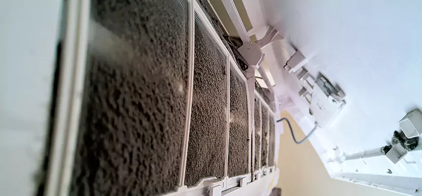 Preventive Air Duct Bacteria Removal in Takoma Park