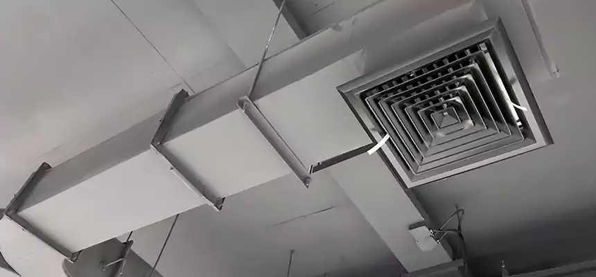 Restorative Allergy Relief Vent Cleaning – Coil, Blower & Housing Detail in Takoma Park