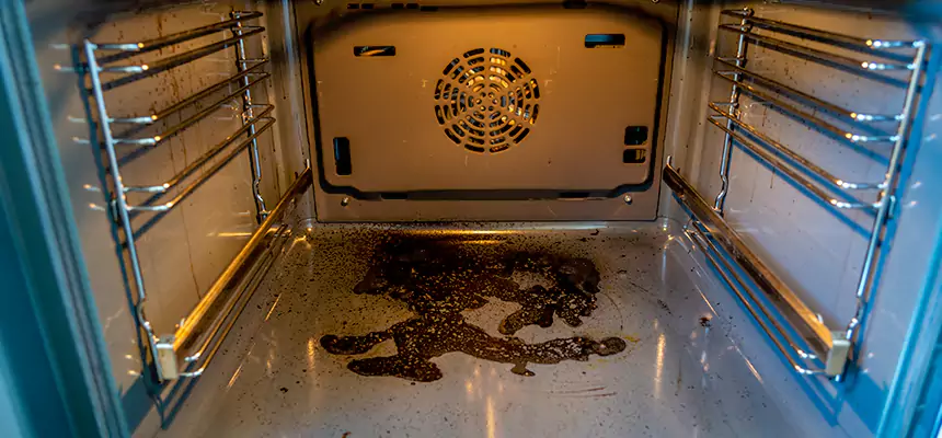 Our Dryer Vent Mold Cleaning Services in Takoma Park, MD