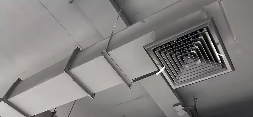 Our Rodent Droppings In Vents Services in Takoma Park, MD