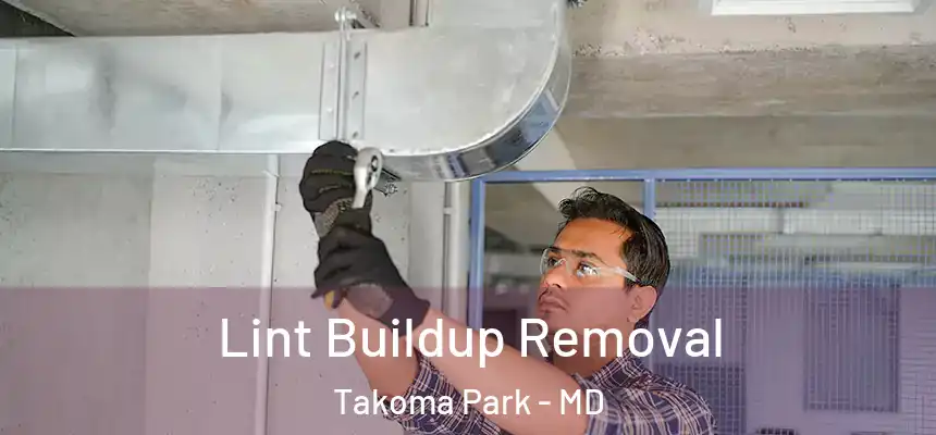  Lint Buildup Removal Takoma Park - MD