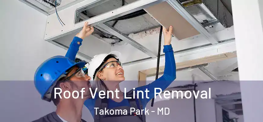  Roof Vent Lint Removal Takoma Park - MD