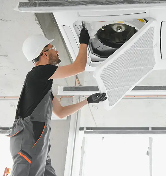 About Air Duct Rodent Removal in Takoma Park, MD