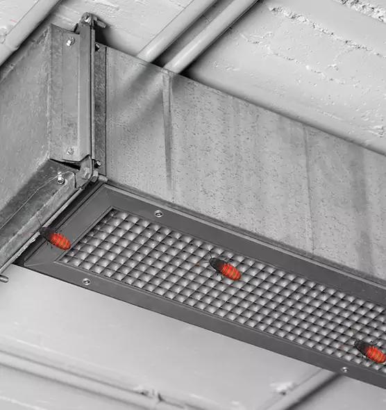 Affordable Insect Removal from Air Ducts in Takoma Park, MD