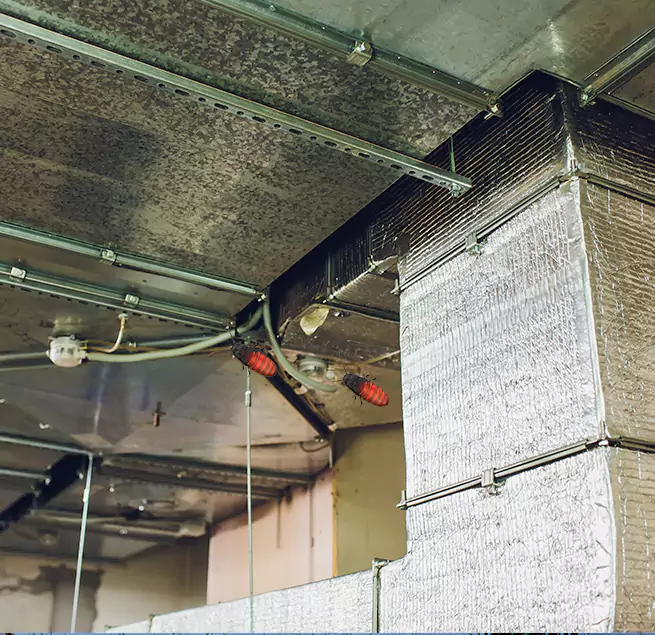 Why Homeowners & Businesses Trust Us in Takoma Park, MD?