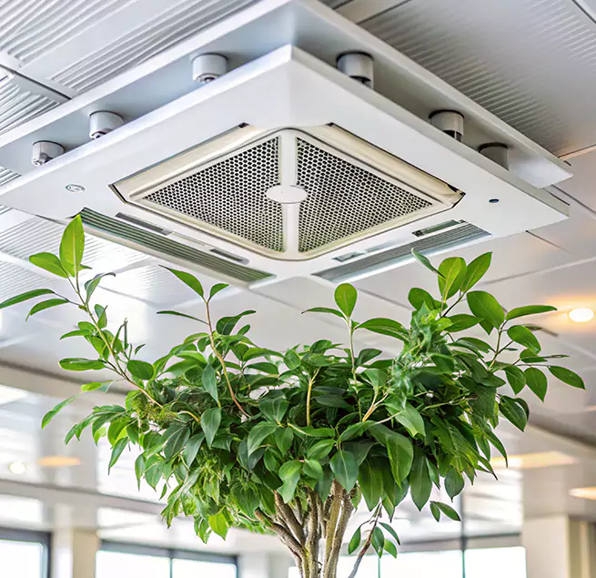 Why Homeowners & Businesses Trust Us in Takoma Park, MD