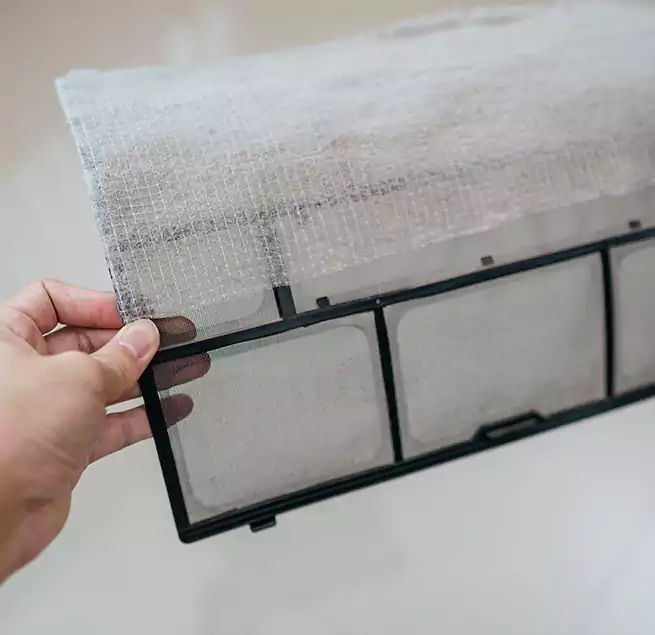 Why Homeowners & Businesses Trust Us in Takoma Park, MD?