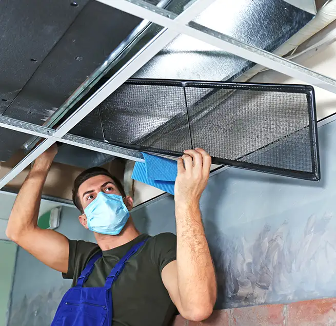 Why Homeowners & Businesses Trust Us in Takoma Park, MD?