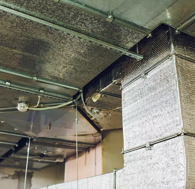 Why Homeowners & Businesses Trust Us in Takoma Park, MD?